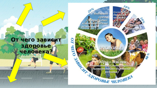 От чего зависит здоровье человека? 