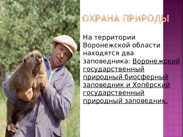 На территории Воронежской области находятся два заповедника:  Воронежский государственный природный биосферный заповедник и Хопёрский государственный природный заповедник.  