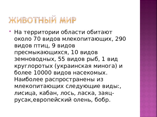 На территории области обитают около 70 видов млекопитающих, 290 видов птиц, 9 видов пресмыкающихся, 10 видов земноводных, 55 видов рыб, 1 вид круглоротых (украинская минога) и более 10000 видов насекомых. Наиболее распространены из млекопитающих следующие виды:, лисица, кабан, лось, ласка, заяц-русак,европейский олень, бобр. 