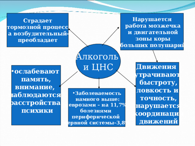  Страдает  тормозной процесс,  а возбудительный- преобладает Нарушается  работа мозжечка  и двигательной  зоны коры  больших полушарий  Алкоголь и ЦНС Движения утрачивают  быстроту, ловкость и  точность,  нарушается  координация  движений ослабевают память,  внимание,  наблюдаются расстройства  психики   Заболеваемость  намного выше:  неврозами – на 11,7%, болезнями периферической нервной системы–3,8%  