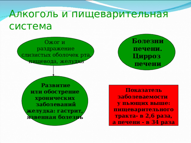 Алкоголь и пищеварительная система  Болезни  печени. Цирроз  печени Ожог и раздражение  слизистых оболочек рта,  пищевода, желудка  Развитие  или обострение хронических  заболеваний  желудка: гастрит, язвенная болезнь  Показатель заболеваемости у пьющих выше: пищеварительного  тракта- в 2,6 раза, а печени - в 34 раза 