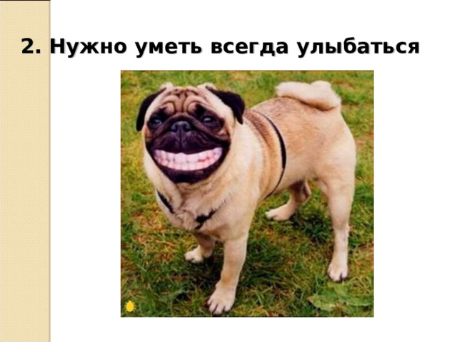 2. Нужно уметь всегда улыбаться  
