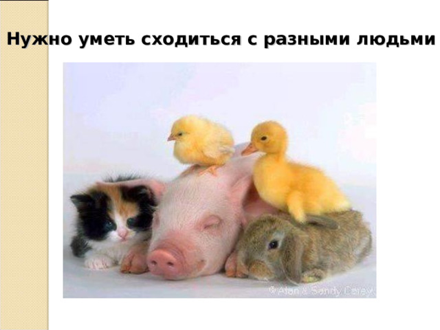6. Нужно уметь сходиться с разными людьми  