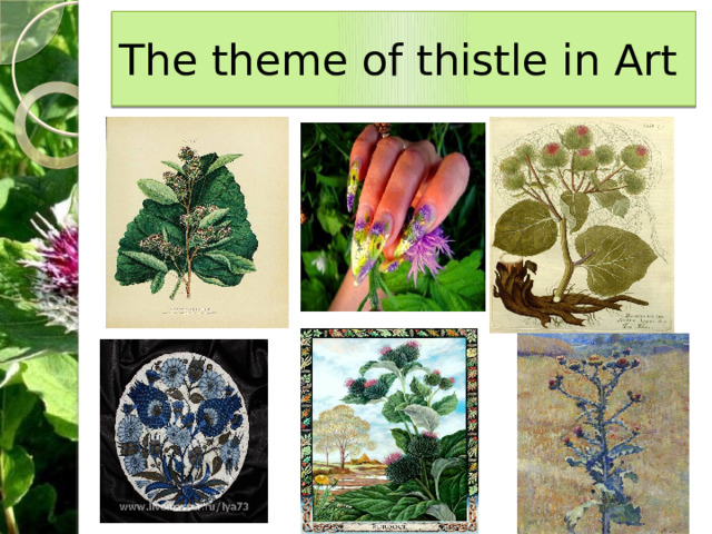 The theme of thistle in Art 