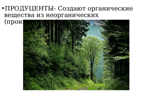 ПРОДУЦЕНТЫ- Создают органические вещества из неорганических (производители)   