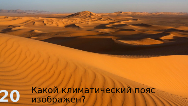 Какой климатический пояс изображен? 20 