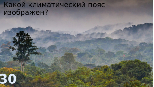 Какой климатический пояс изображен? 30 