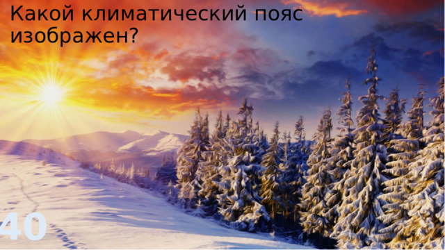 Какой климатический пояс изображен? 40 