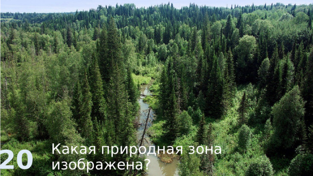 Какая природная зона изображена? 20 
