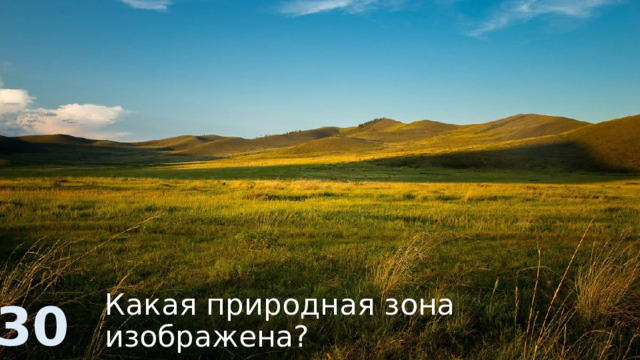 Какая природная зона изображена? 30 