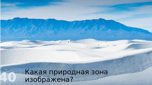 Какая природная зона изображена? 40 