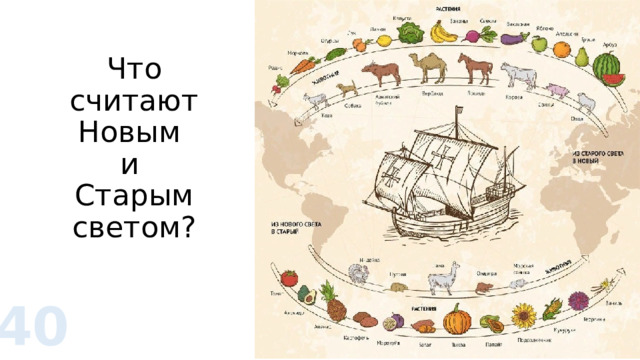 Что считают Новым  и  Старым светом? 40 