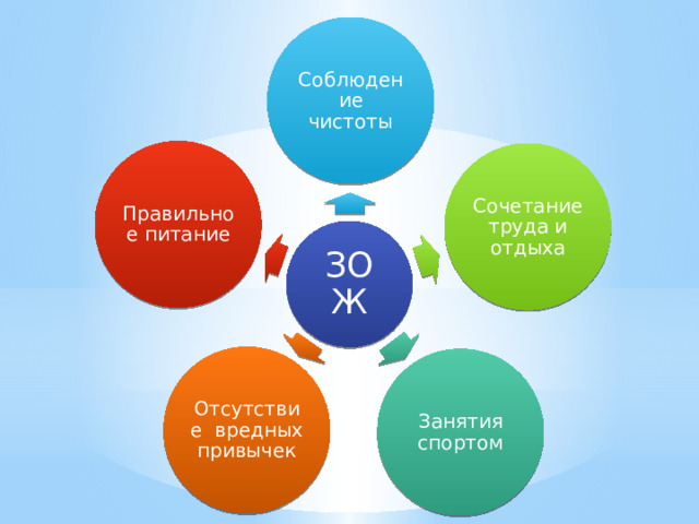 Соблюдение чистоты Правильное питание Сочетание труда и отдыха ЗОЖ Отсутствие вредных привычек Занятия спортом 