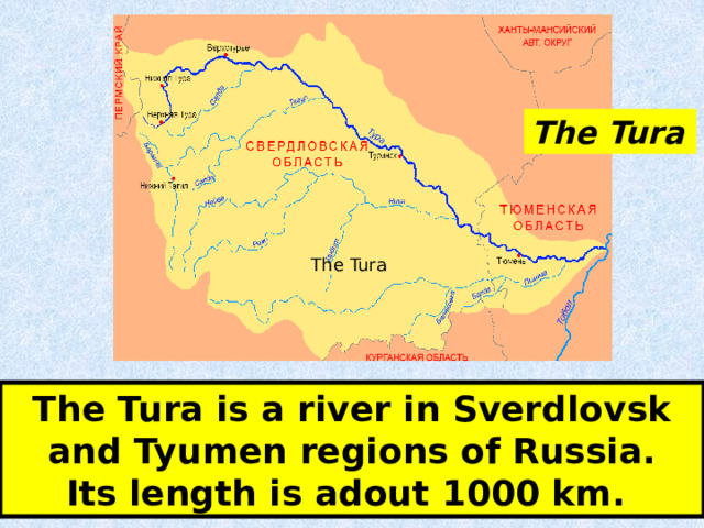 The Tura  The Tura The Tura is a river in Sverdlovsk and Tyumen regions of Russia.  Its length is adout 1000 km. 