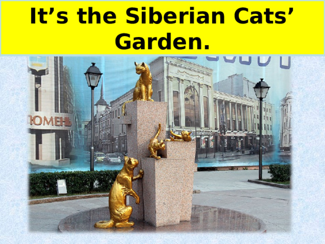 It’s the Siberian Cats’ Garden. 