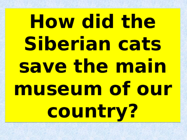 How did the Siberian cats save the main museum of our country? 