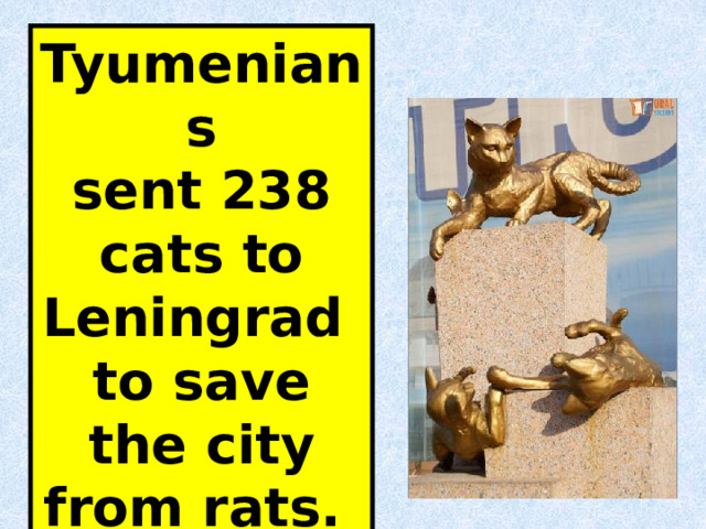 Tyumenians sent 238 cats to Leningrad to save the city from rats. 