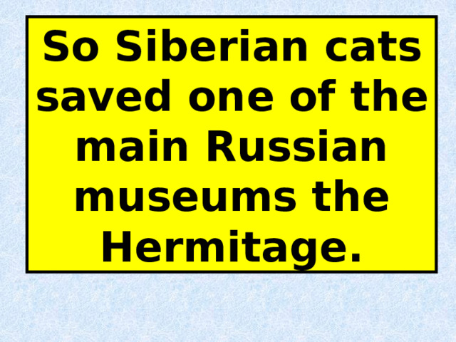 So Siberian cats saved one of the main Russian museums the Hermitage. 