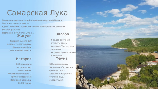 Самарская Лука Уникальная местность, образованная излучиной Волги и Жигулевскими горами — единственными горами тектонического происхождения на Русской равнине. Протяжённость более 200 км. Флора Жигули 6 видов растений открыты здесь впервые. Три — узкие эндемики, встречающиеся только в Жигулях. Средняя высота 300 метров. Неповторимые формы рельефа и уникальная красота. Фауна История 30% позвоночных животных обитают на границе своих ареалов. Сибирские и степные виды соседствуют. 200 природно-исторических памятников. Муромский городок — крупное поселение Волжской Болгарии IX–XIII веков.  