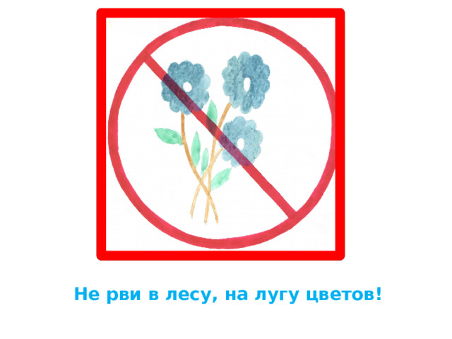 Не рви в лесу, на лугу цветов! 