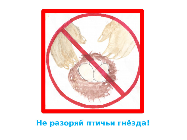 Не разоряй птичьи гнёзда! 
