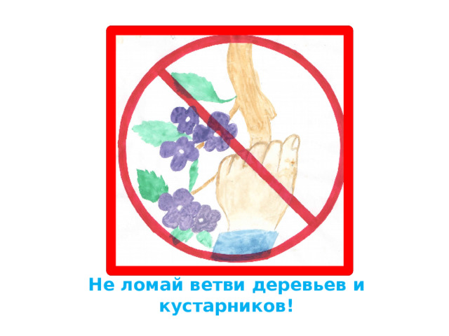 Не ломай ветви деревьев и кустарников! 
