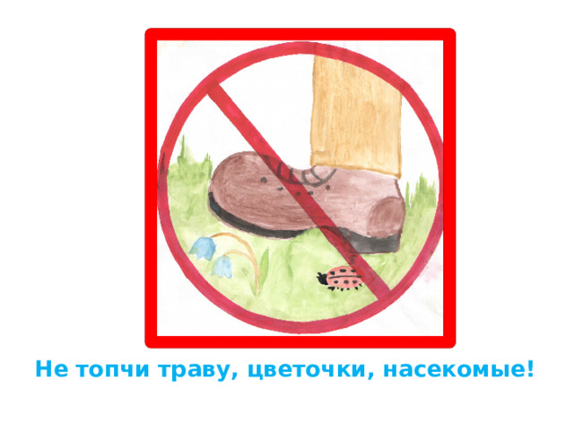 Не топчи траву, цветочки, насекомые! 
