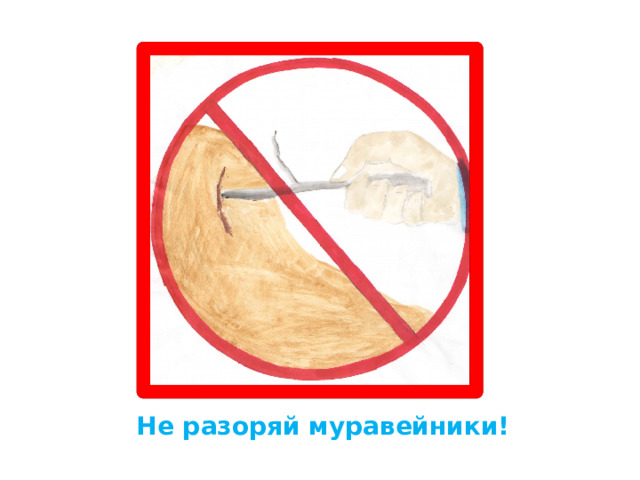 Не разоряй муравейники! 