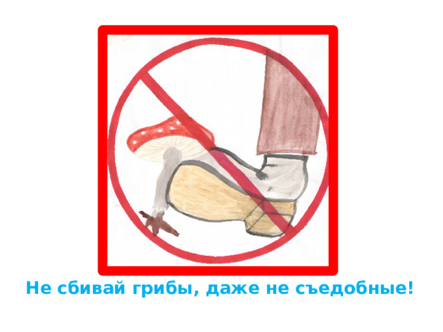 Не сбивай грибы, даже не съедобные! 