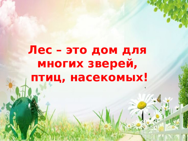 Лес – это дом для  многих зверей,  птиц, насекомых! 