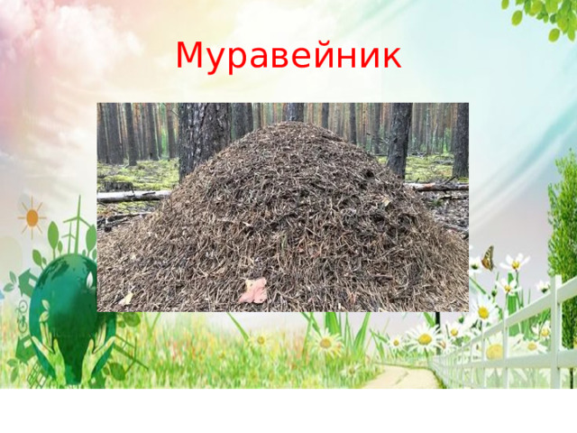 Муравейник 