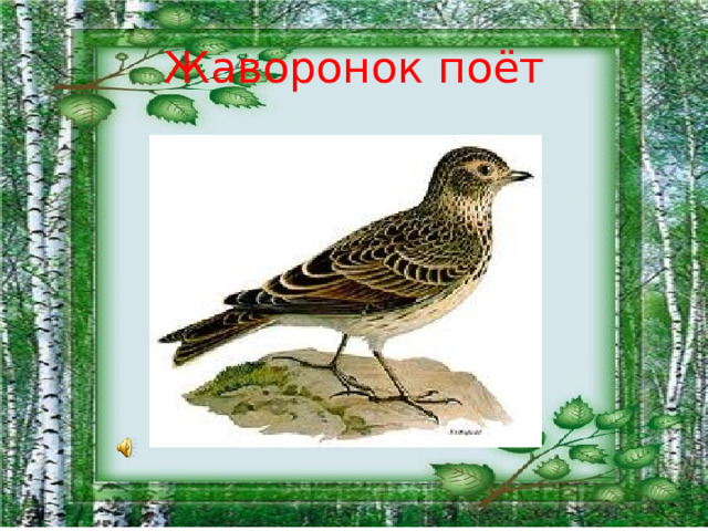 Жаворонок поёт 