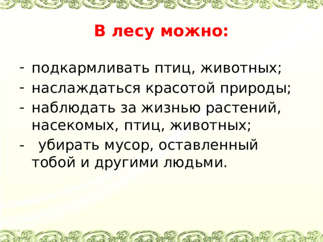 В лесу можно: подкармливать птиц, животных; наслаждаться красотой природы; наблюдать за жизнью растений, насекомых, птиц, животных; - убирать мусор, оставленный тобой и другими людьми. 