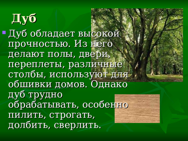 Дуб Дуб обладает высокой прочностью. Из него делают полы, двери, переплеты, различные столбы, используют для обшивки домов. Однако дуб трудно обрабатывать, особенно пилить, строгать, долбить, сверлить. 