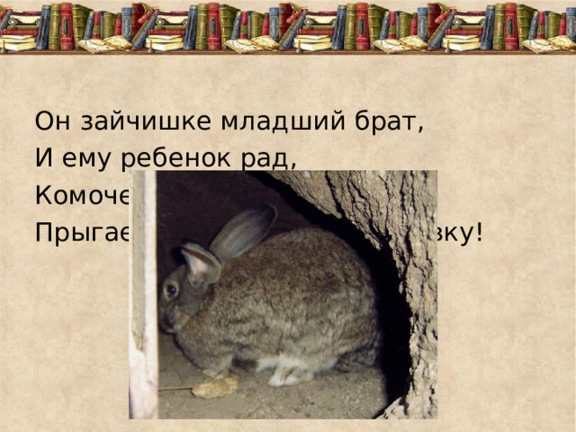 Он зайчишке младший брат, И ему ребенок рад, Комочек пуха, длинное ухо, Прыгает ловко, любит морковку! 