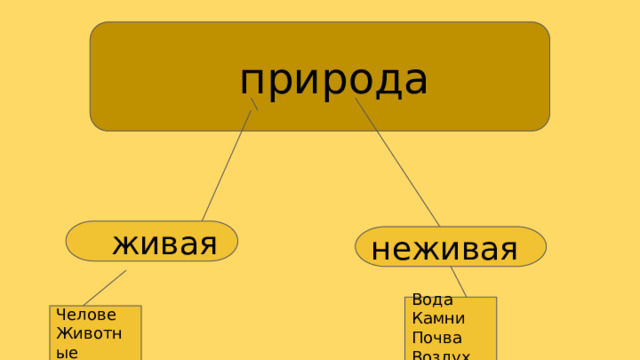   природа   живая неживая Вода Камни Почва Воздух Космические тела Челове Животные Растения Грибы 