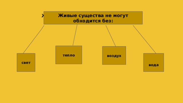Живые существа не могут обходится без Живые существа не могут обходится без: тепло воздух свет вода 