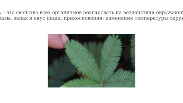 Раздражимость - это свойство всех организмов реагировать на воздействия окружающей среды: звуки, зрительные образы, запах и вкус пищи, прикосновения, изменения температуры окружающей среды. 