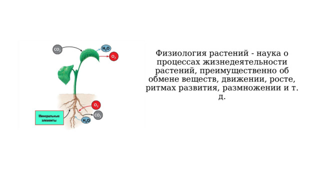 Физиология растений - наука о процессах жизнедеятельности растений, преимущественно об обмене веществ, движении, росте, ритмах развития, размножении и т. д. 