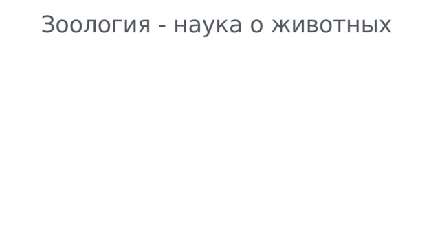 Зоология - наука о животных 