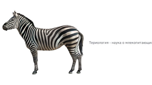 Териология - наука о млекопитающих. 