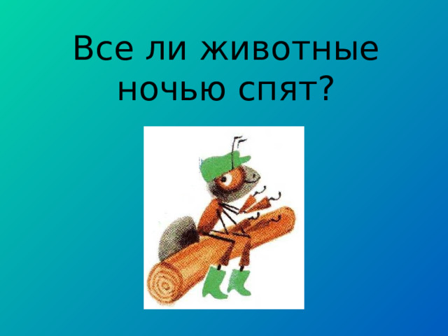 Все ли животные ночью спят? 