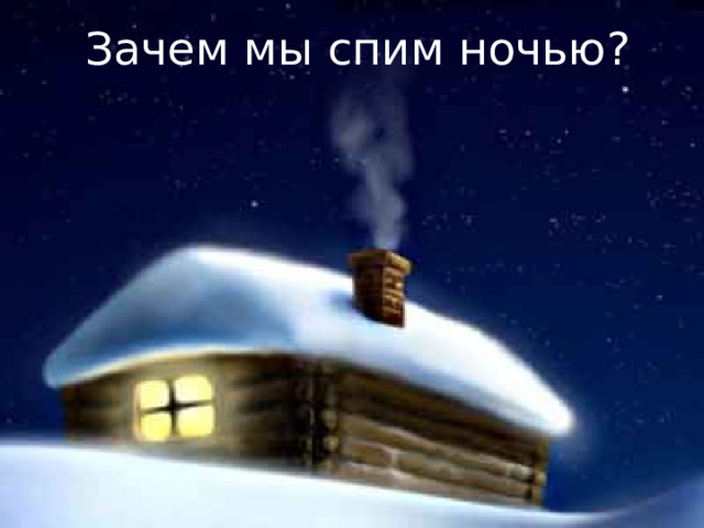 Зачем мы спим ночью? 