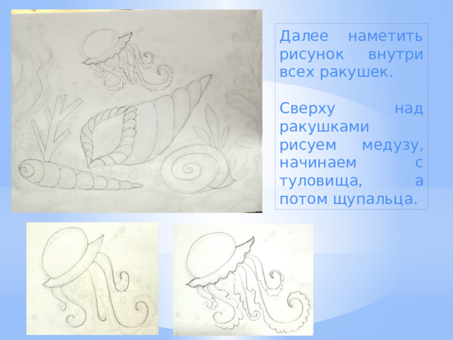 Далее наметить рисунок внутри всех ракушек. Сверху над ракушками рисуем медузу, начинаем с туловища, а потом щупальца. 
