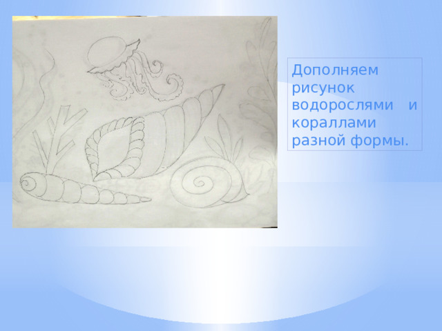 Дополняем рисунок водорослями и кораллами разной формы. 