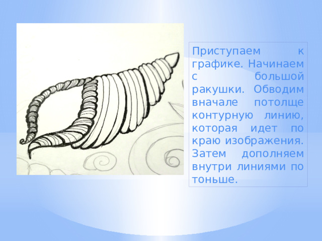 Приступаем к графике. Начинаем с большой ракушки. Обводим вначале потолще контурную линию, которая идет по краю изображения. Затем дополняем внутри линиями по тоньше. 