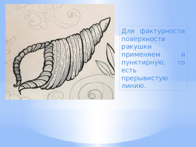 Для фактурности поверхности ракушки применяем и пунктирную, то есть прерывистую линию. 