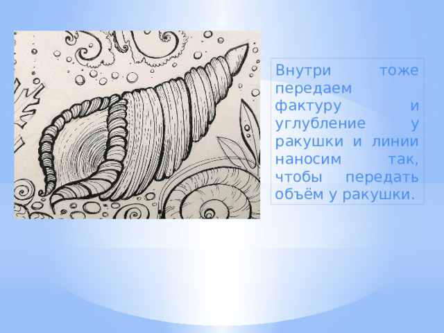 Внутри тоже передаем фактуру и углубление у ракушки и линии наносим так, чтобы передать объём у ракушки. 
