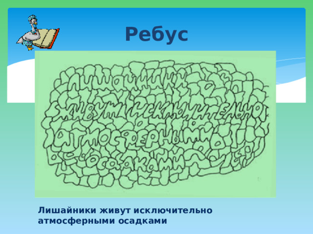 Ребус Лишайники живут исключительно атмосферными осадками 