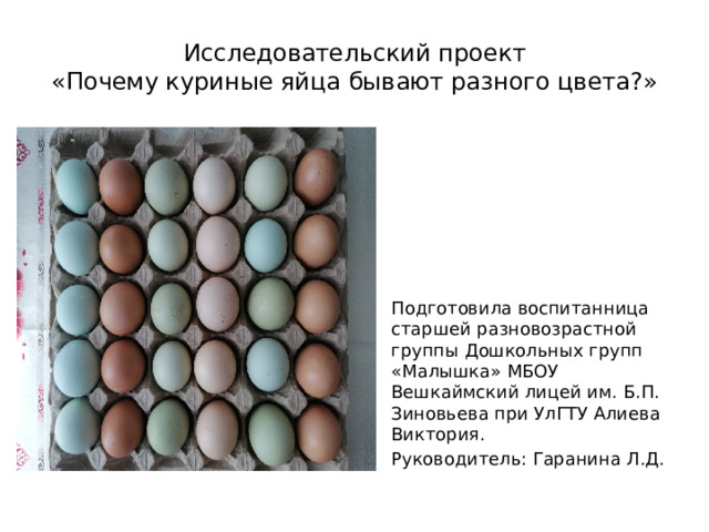 Исследовательский проект  «Почему куриные яйца бывают разного цвета?» Подготовила воспитанница старшей разновозрастной группы Дошкольных групп «Малышка» МБОУ Вешкаймский лицей им. Б.П. Зиновьева при УлГТУ Алиева Виктория. Руководитель: Гаранина Л.Д. 
